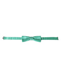 Mint Green Silk Adjustable Neck Men Bow Tie